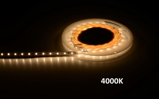 Extro LED Strip, 5m, 2700K