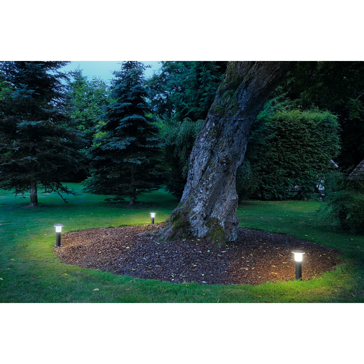 ALPA MUSHROOM, silbergrau, Bild 1