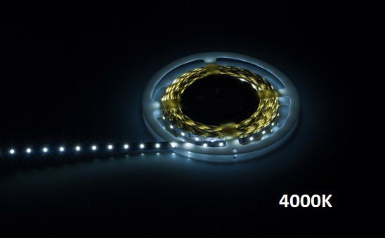 LupaReel LED Strip, 5m, 24V, 60LEDs/m, 4,8W, Bild 1