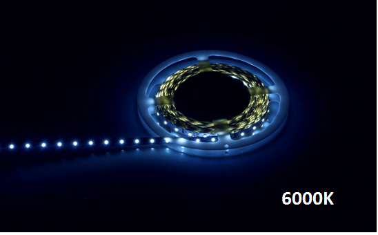 LupaReel LED Strip, 5m, 24V, 60LEDs/m, 4,8W